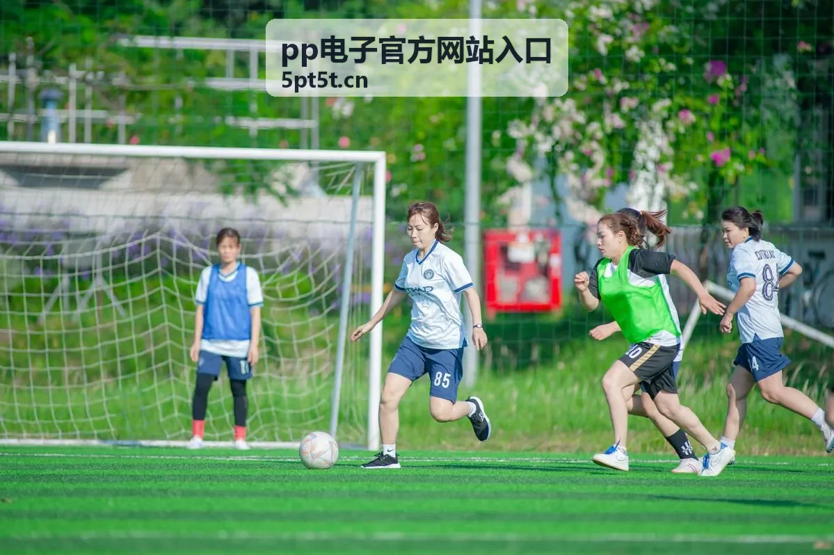 pp电子官方网站入口使用指南示意图
